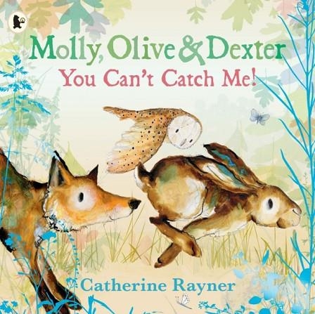 MOLLY OLIVE AND DEXTER: YOU CAN'T CATCH ME! | 9781529523157 | CATHERINE RAYNER