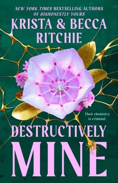 DESTRUCTIVELY MINE | 9780593549575 | KRISTA AND BECCA RITCHIE