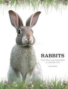 RABBITS | 9781838863708 | TOM JACKSON