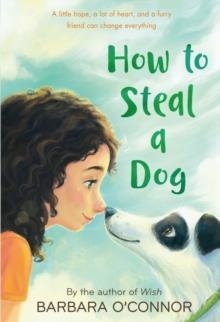 HOW TO STEAL A DOG | 9780312561123 | BARBARA O'CONNOR