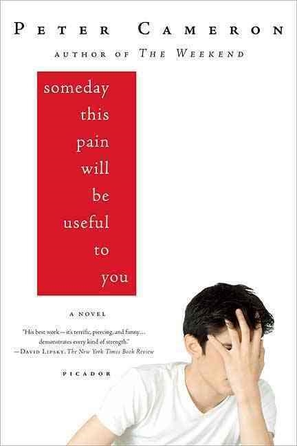 SOMEDAY THIS PAIN WILL BE USEFUL TO YOU | 9780312428167 | PETER CAMERON