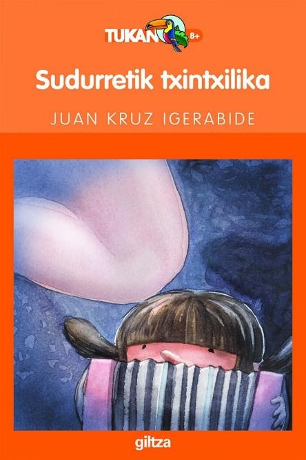 SUDURRETIK TXINTXILIKA | 9788481189292 | JUAN KRUZ IGERABIDE