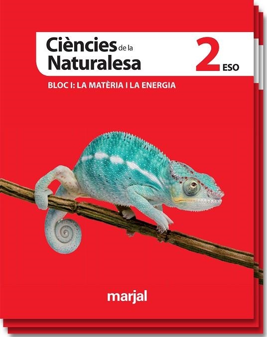 CIENCIES DE LA NATURALESA ES2 (VAL) LIBRO ALUMNO | 9788483483152 | EDEBÉ, OBRA COLECTIVA